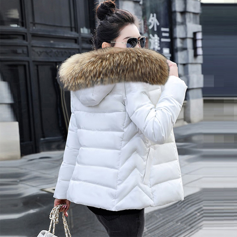 가을 코트 여성 재킷 후드 숏 파카 2026 따뜻한 빅 - Winter Clothing Trends 2026 리뷰 및 가격