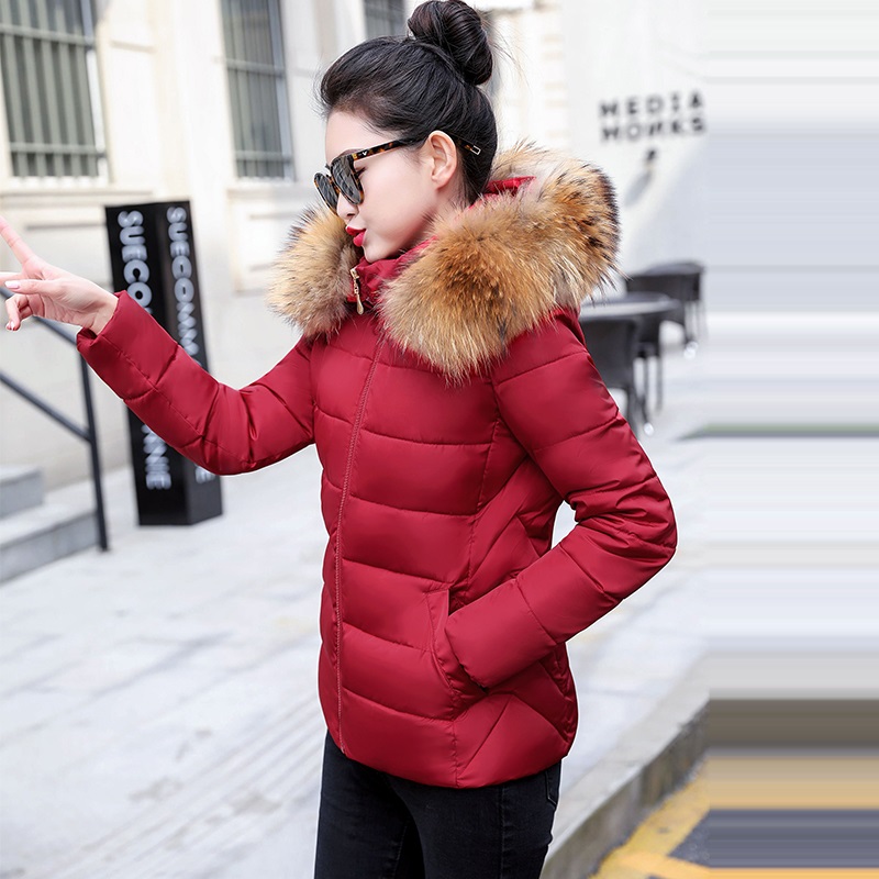 가을 코트 여성 재킷 후드 숏 파카 2026 따뜻한 빅 - Winter Clothing Trends 2026 리뷰 및 가격
