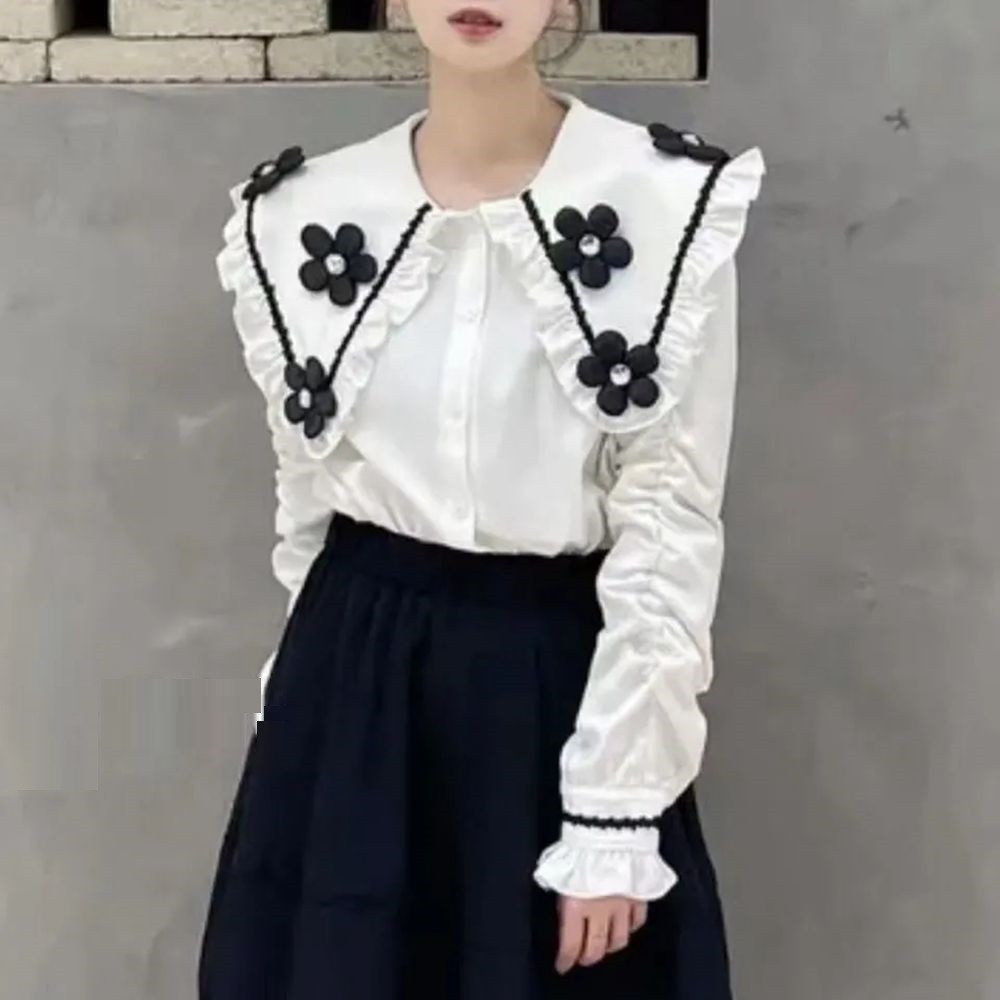 플러스 사이즈 긴팔 빅 칼라 블라우스, 트렌드 2024 - Winter Clothing Trends For Women 리뷰 및 가격
