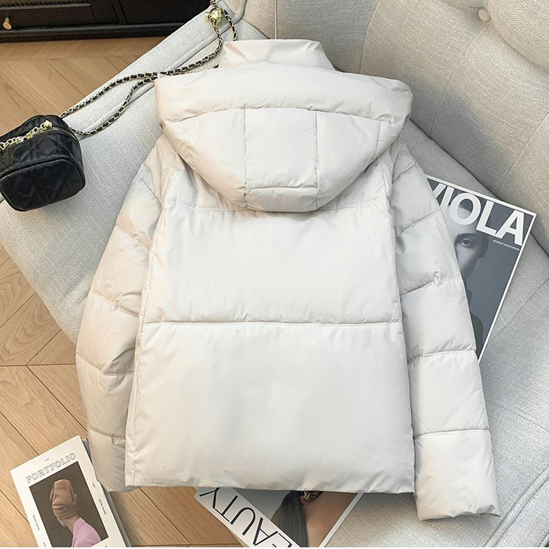 겨울 신상 2026 시크 다운 코튼 패딩 재킷 여성용  - Winter Clothing Trends 2026 리뷰 및 가격